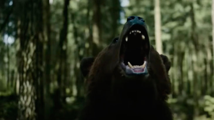 Показан агрессивный медведь.