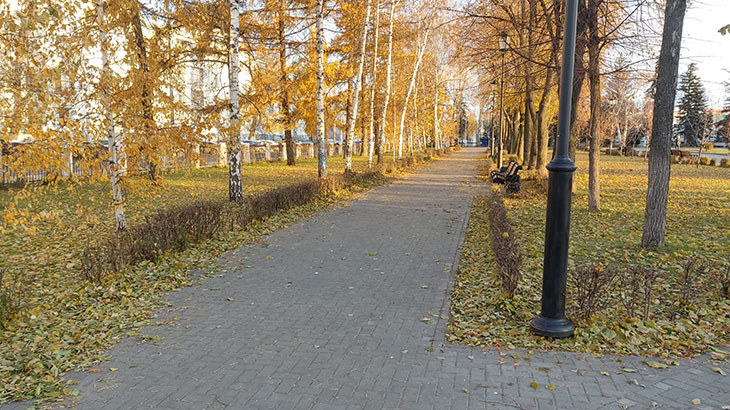 Показана дальняя аллея вдоль улицы Чапаевской.