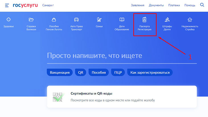 Скриншот страницы с вкладкой «Паспорта / Регистрация».