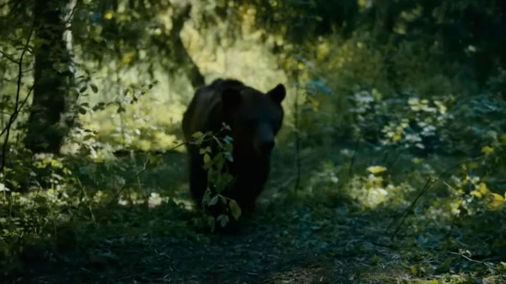 Показана встреча с медведем на охоте (продолжение).