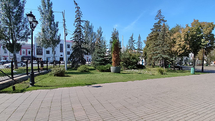 Показан газон с кустарниками и деревьями (площадь Революции в Самаре).