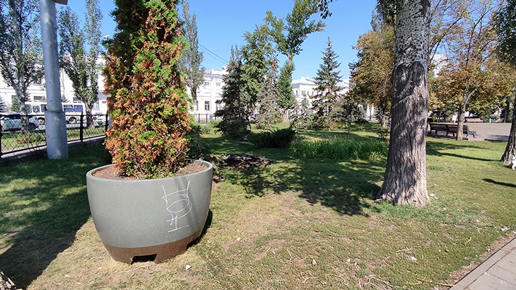 Показан газон с деревьями (площадь Революции в Самаре).