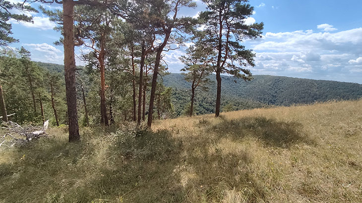 Показан вид на Жигулевские горы.